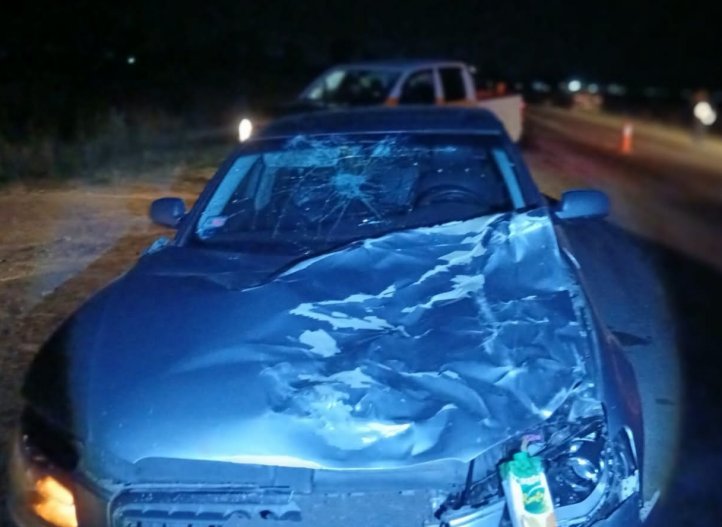 Ruta 39: un automovilista chocó contra un animal vacuno cerca de Arrufó