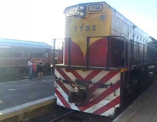 El tren llegó con la ayuda para Villa Saralegui