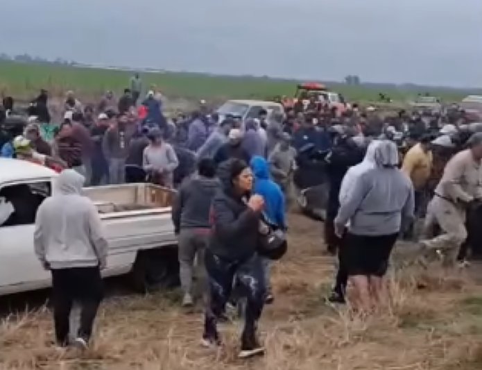Imputarán a 12 personas de Morteros y Brinkmann por faenar animales tras el vuelco de un camión