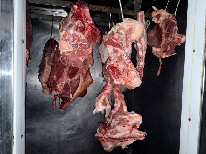 Abigeato en Villa Concepción del Tío: secuestran más de 120 kilos de carne, una camioneta y herramientas de faena
