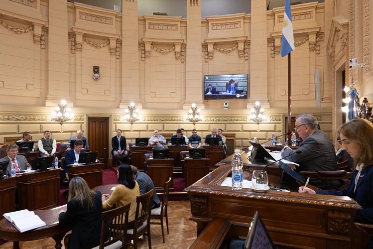 El Senado santafesino dio media sanción a una ley para mejorar la protección de víctimas de violencia de género