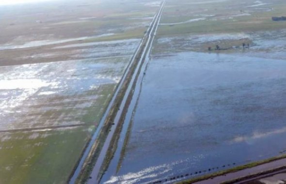El gobierno oficializó la declaración de emergencia agropecuaria