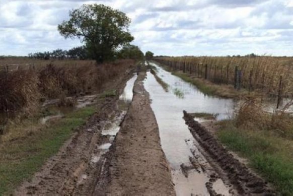 Lifchitz decretó la emergencia vial en toda la provincia