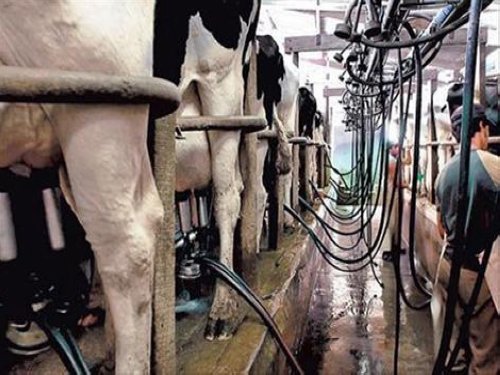 Nueva reunión de industriales y productores por el precio de la leche