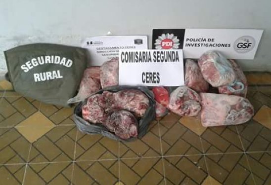 Ceres: Recuperaron carne de un faenamiento clandestino