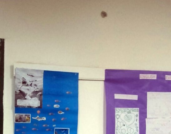 San Francisco: A un instructor se le escapó un tiro dentro de un aula