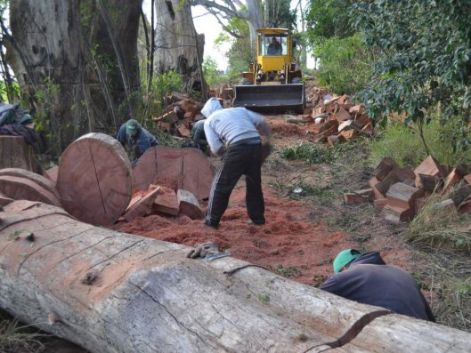 Realizan trabajos en el Camping Municipal de Brinkmann