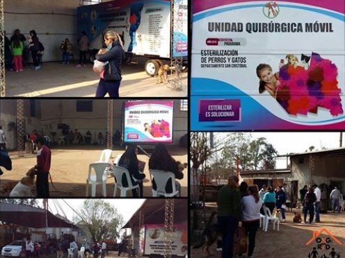 Arrufó: El móvil quirúrgico del departamento castró 55 mascotas
