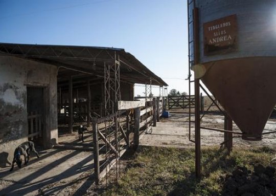 La industria informó que unos 500 tambos dejaron de producir