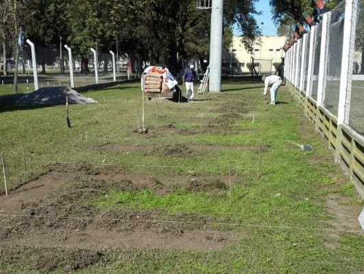Tiro está construyendo una nueva tribuna