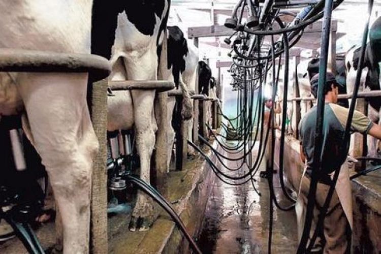 Morteros: Entregarán fondos a productores tamberos