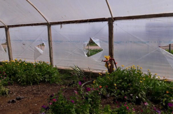 Vándalos provocaron daños en el Vivero Inclusivo de San Guillermo