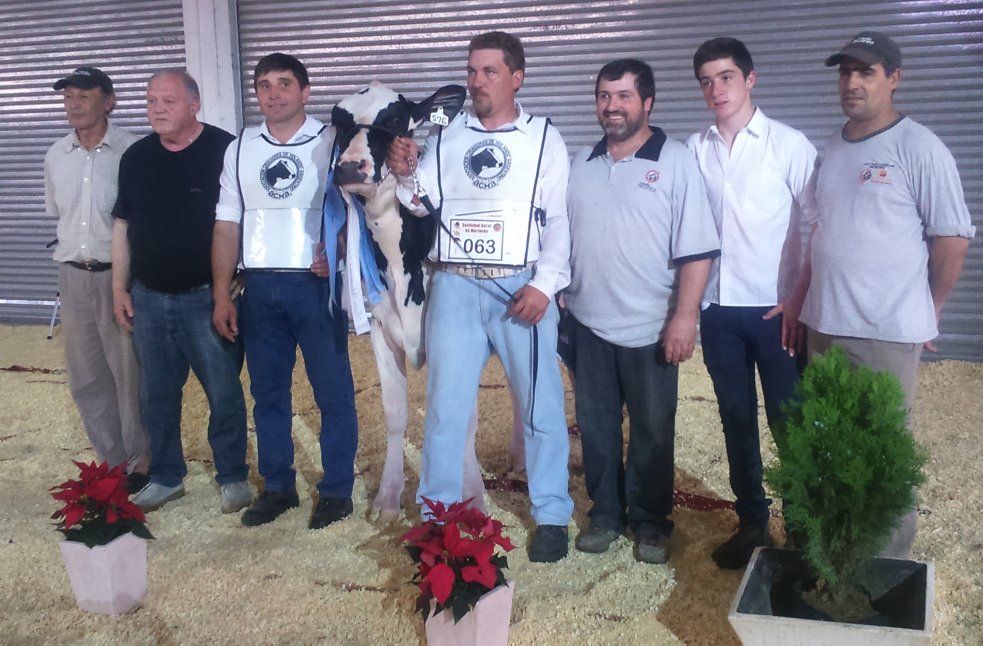 Cabaña Beatriz logró la gran campeona hembra junior