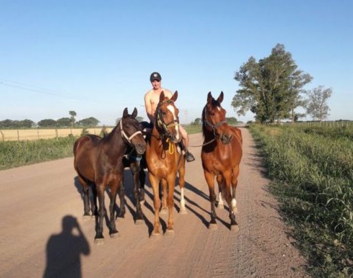 Aparecieron los caballos de la Hípica Equmn de Morteros