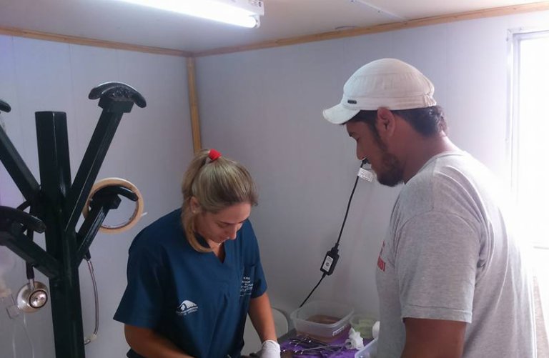 Suardi: Sigue la campaña de esterilizaciones de perros y gatos