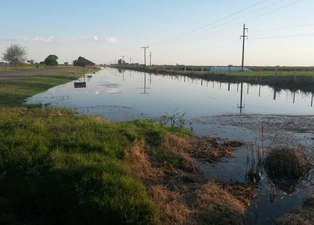 Declararon la emergencia agropecuaria en distritos del depto. Castellanos