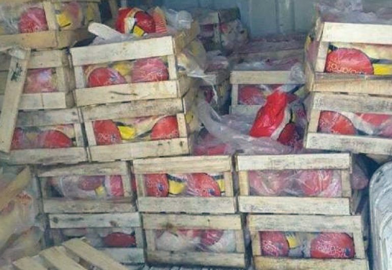 San Cristóbal: Decomisaron cargamento de pollos en mal estado