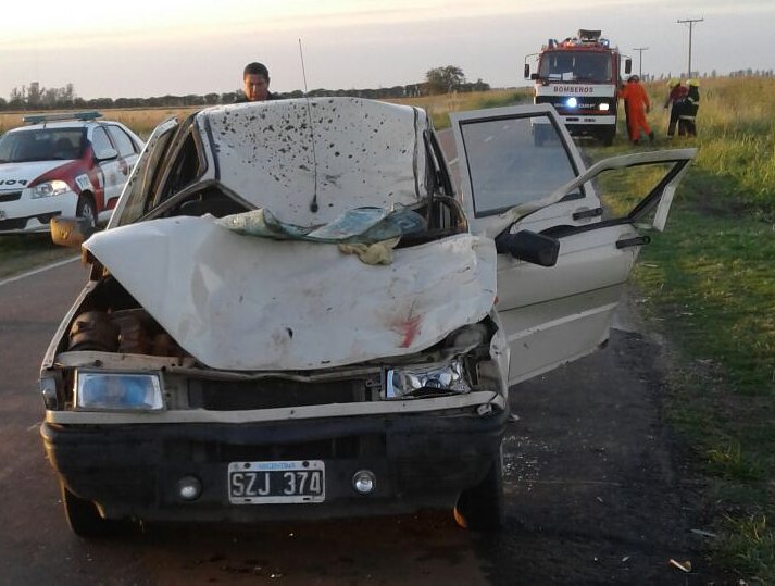 Familia Col. Marina chocó con un vacuno