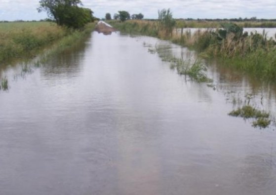 Bauer y Sigel otra vez con el drama de las inundaciones