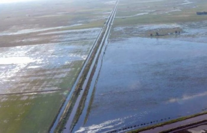 La crisis hídrica dejaría pérdidas por 700 millones de dólares en Santa Fe