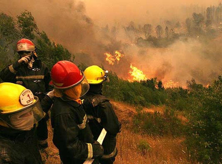 Bomberos de la región viajaron a Chile para combatir los incendios
