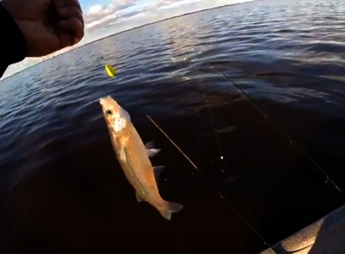 Habilitan la pesca del pejerrey en Laguna del Plata