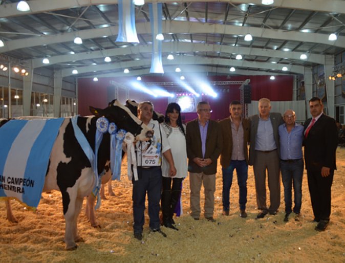 Feria Lechera: La mejor vaca pertenece a Cabaña Don Nura