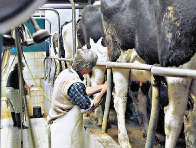 Crisis lechera: Meprolsafe le responde a Sanmartino