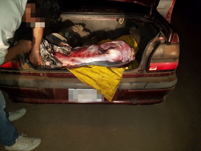 Sunchales: Dos detenidos por faenamiento clandestino