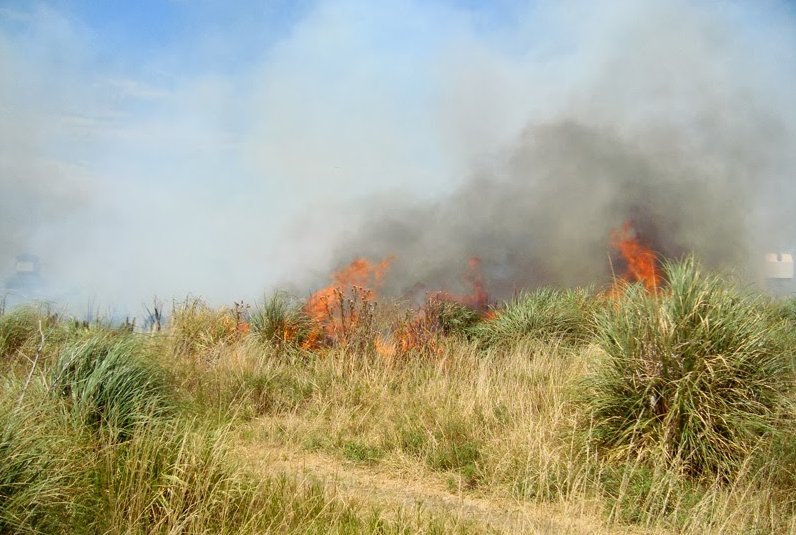Incendio afecta a reserva natural en cercanías de la Mar Chiquita