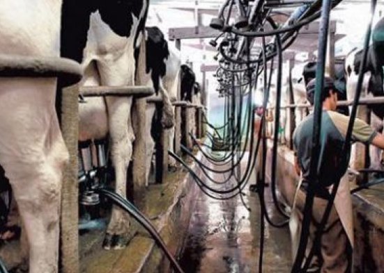 Bonfatti lanzó línea de crédito para productores tamberos