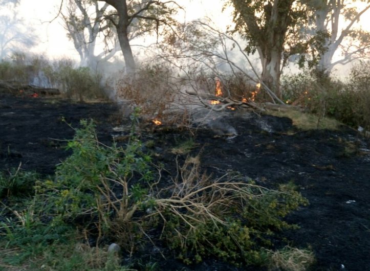 Morteros: Un detenido por iniciar un incendio