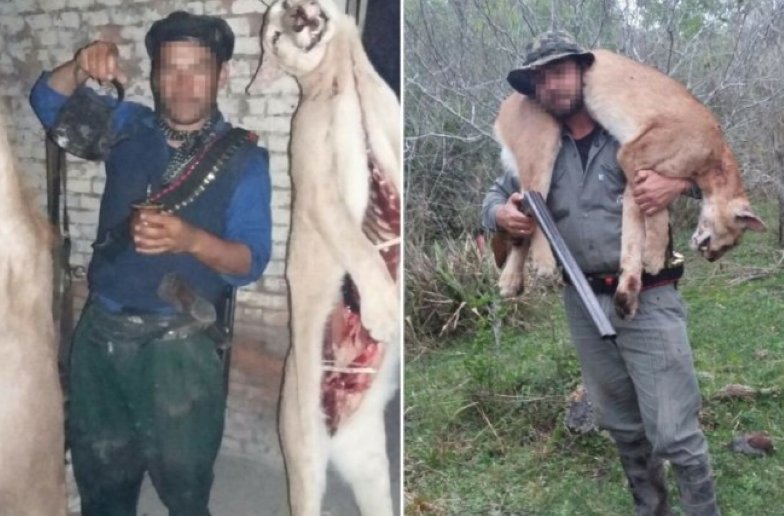 Mataba pumas y luego los mostraba a través de Facebook