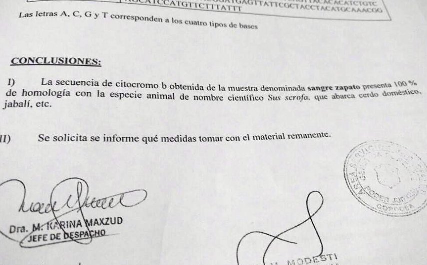 Caso Yost: La sangre en la zapatilla de Piccione sería de un animal