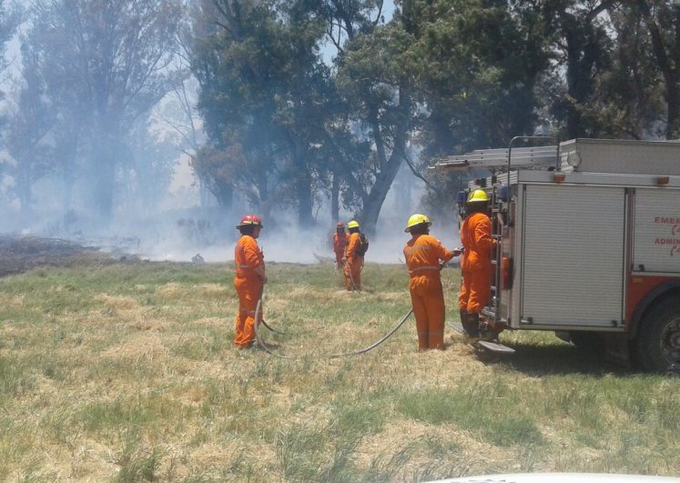 Se incendió un campo y un terreno de una empresa 