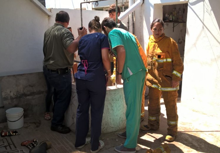 San Guillermo: Cayó dentro de un aljibe y resultó ilesa