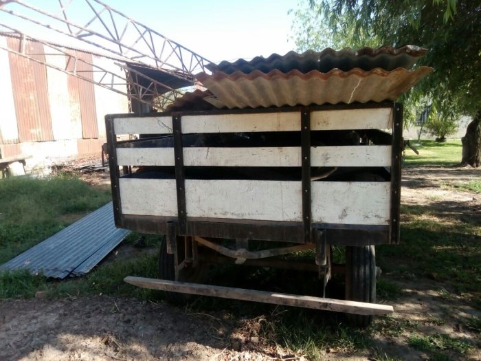 Dos detenidos por hurto en zona rural de Constanza
