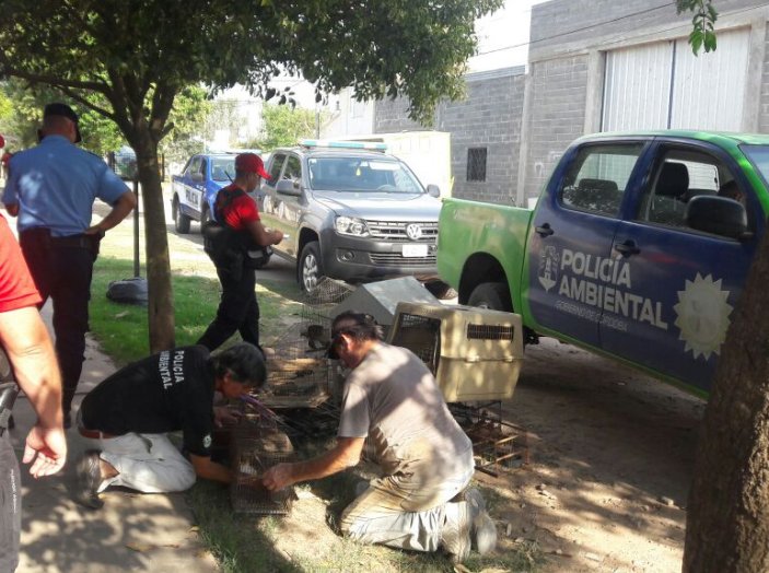Secuestran aves autóctonas en un domicilio de Brinkmann