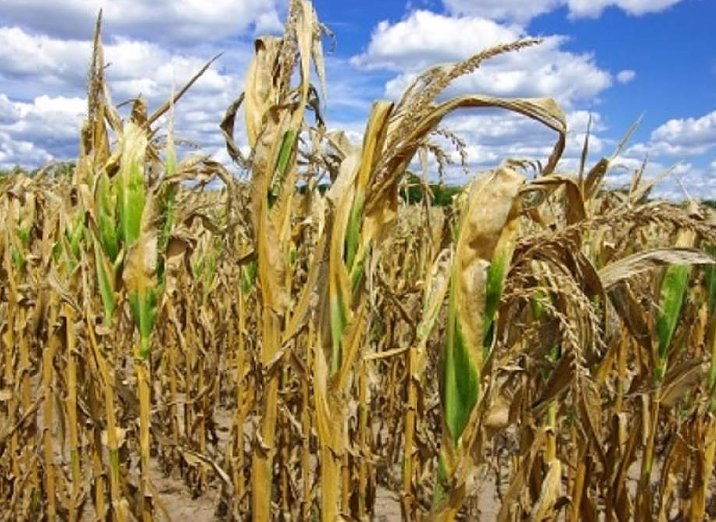 Las entidades del campo piden la extensión de la emergencia