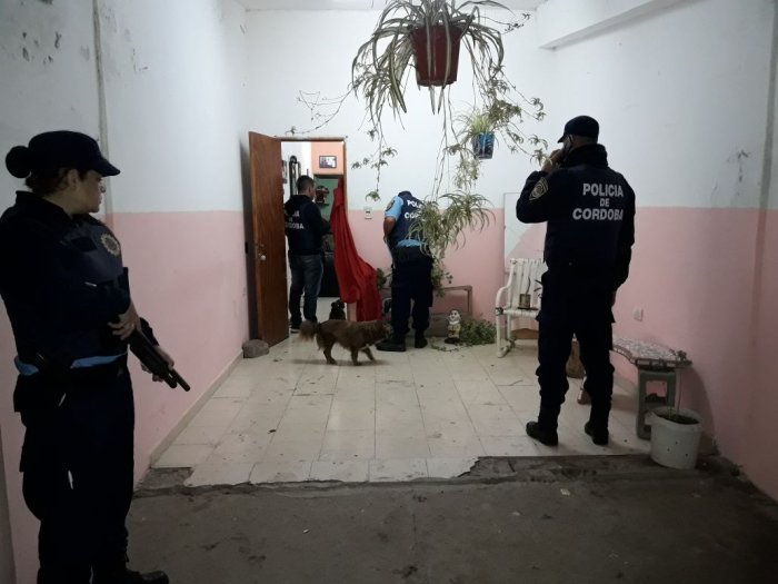 Allanamientos en Brinkmann por daño y disparos de arma