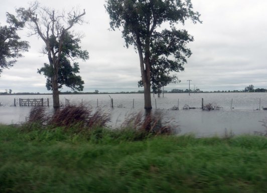Brindan apoyo sanitario a localidades afectadas por intensas lluvias