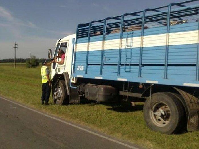 Procedimiento de la Policía Vial en Ceres