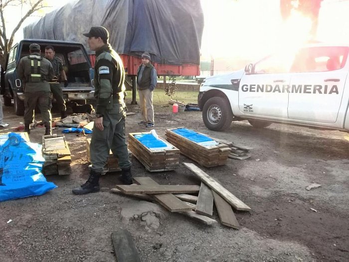 Ceres: Gendarmería secuestró cargamento de hojas de coca