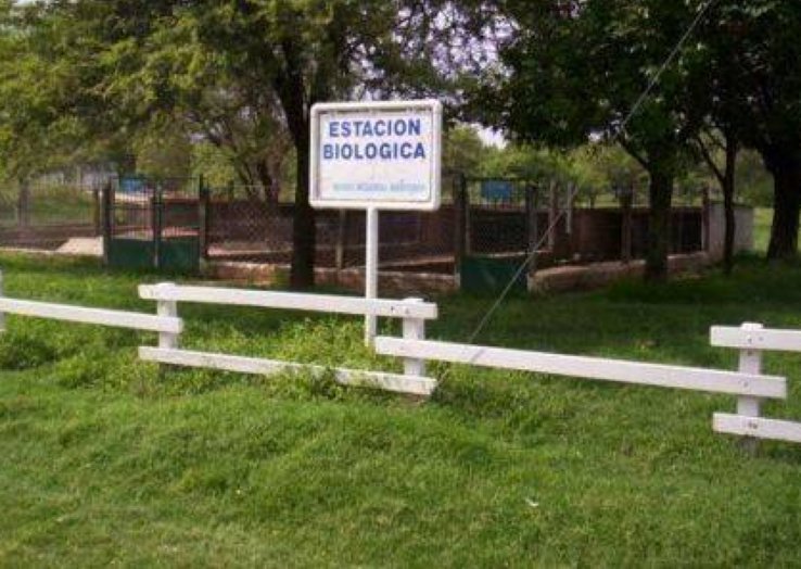 Morteros: El municipio aclara sobre el estado de los pumas en cautiverio