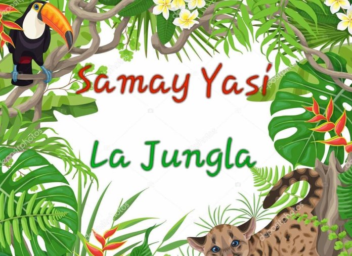 Suardi: Samay Yasí trabaja para los carnavales 2019