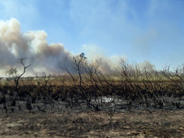 Incendio de magnitud en jurisdicción de Balnearia
