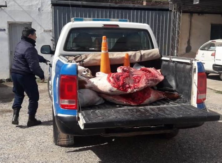 San Cristóbal: Un joven detenido por abigeato