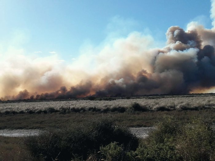 Fue controlado el incendio en Jerónimo Cortéz