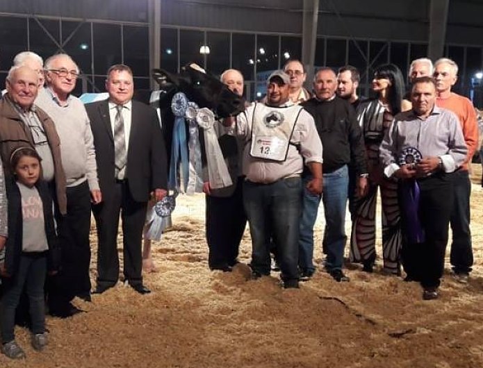 Una vaca de Reproductores SRL es la gran campeona de La Mil