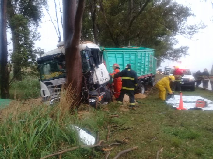Porteña: un camión con acoplado impactó contra un arbol 